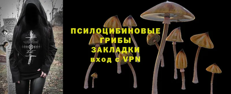 Галлюциногенные грибы ЛСД  ссылка на мегу tor  Железногорск-Илимский  купить наркоту 